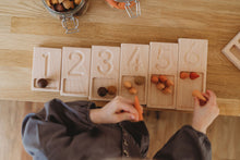 Load image into Gallery viewer, Number counting trays