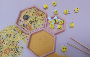 Bee play setup