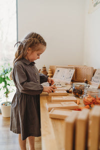 Wooden montessori learning resources