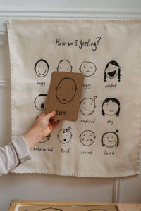 Emotions wall hanging and emotions flashcards