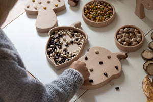 Wooden early years learning resources